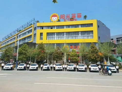 陽光苗苗唐志林說高培迪唯恩奶粉：高質(zhì)平價一款性價比極高的奶粉1