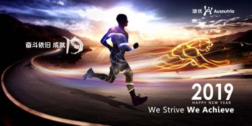 澳優(yōu)2019新年致辭：奮斗依舊，成就19  圖3