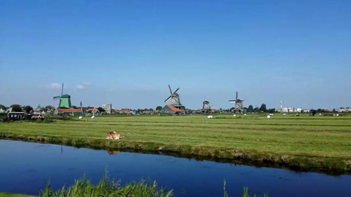 全球聚焦！中國國際進口博覽會倒計時6天，澳優(yōu)將攜這兩大明星品牌亮相3