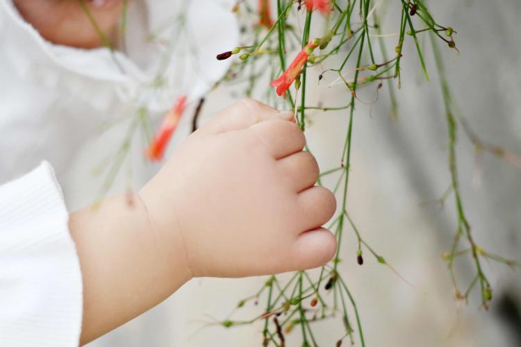 解決兒童肥胖問(wèn)題 倫敦公交系統(tǒng)封殺垃圾食品廣告