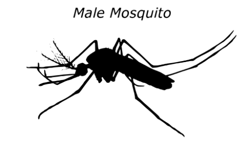 驅(qū)蚊產(chǎn)品也拼顏值？金鳥驅(qū)蚊手環(huán)系列讓你成為最靚的仔！