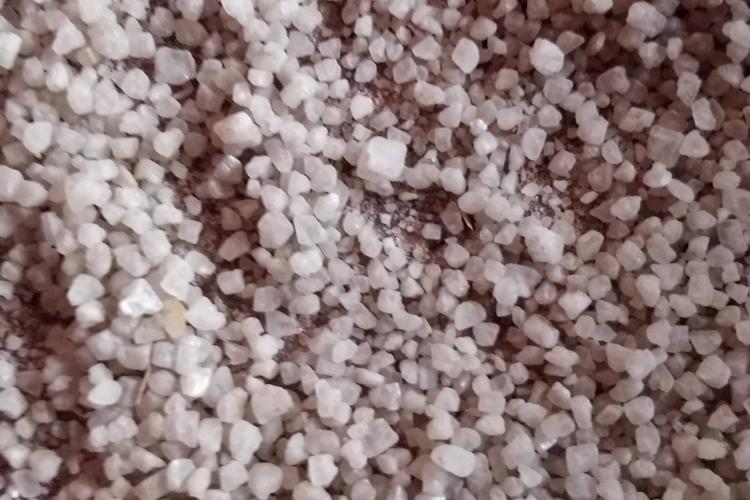 有甲狀腺疾病的孕媽媽該如何補碘？