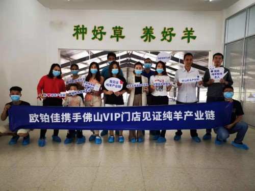 7月歐鉑佳開啟產(chǎn)業(yè)鏈見證之旅，體驗式營銷引領(lǐng)純羊市場