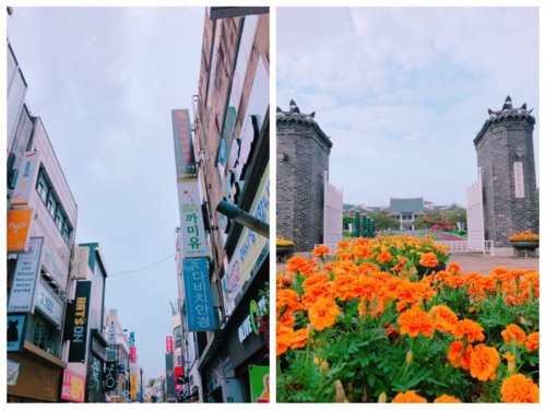 緊跟貝因美 孫楊迷妹帶娃追星