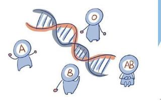 不同血型的寶寶 父母應(yīng)該有不同的對待方式