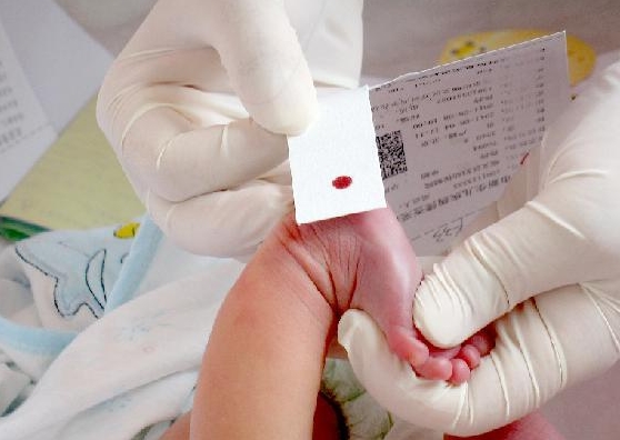 新生兒為何一定要化驗(yàn)“足跟血”？關(guān)系到孩子的一生智力發(fā)育