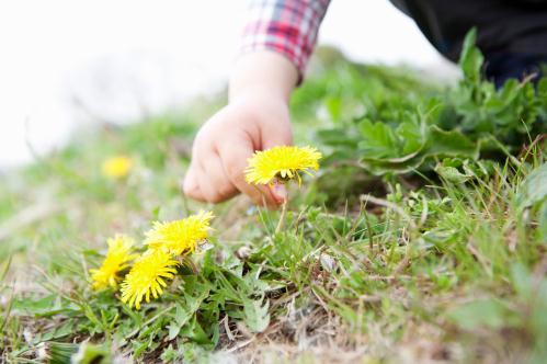 培養(yǎng)寶寶的觀察能力—從觀察大自然開始