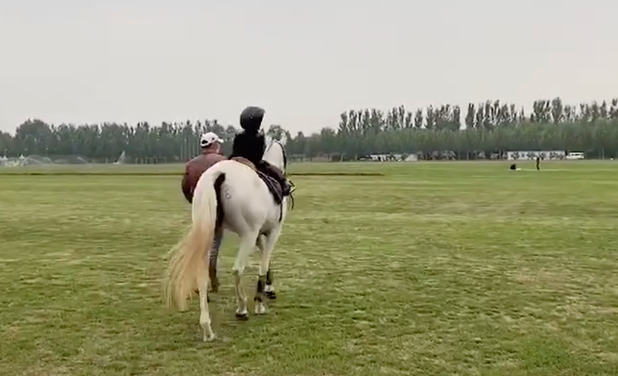 章子怡曬女兒上馬術(shù)課視頻