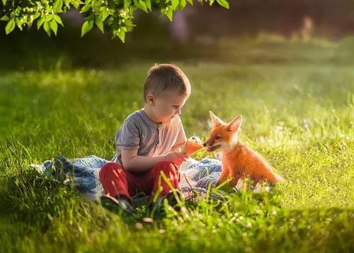 我們兒童要從小培養(yǎng)的6種黃金性格！