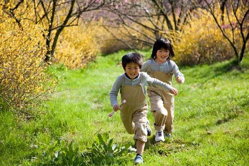 夏季植物美學(xué)體驗 讀繪本帶孩子認識神奇自然