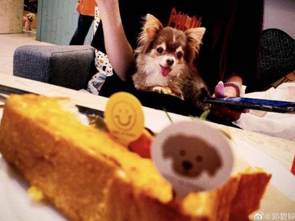 向太回應(yīng)郭碧婷深夜發(fā)文 這樣的婆媳關(guān)系網(wǎng)友覺得不自在