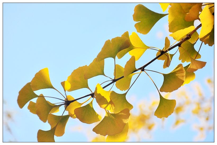 入秋謹(jǐn)記“4要2不要”，孩子健康生病少