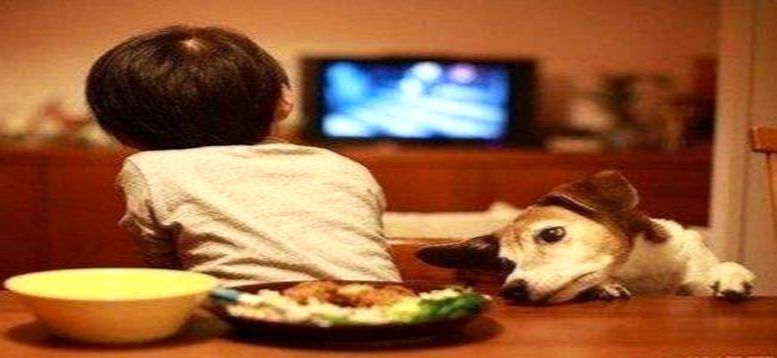 改掉孩子吃飯坐不住的小方法 跟著親貝來學(xué)習(xí)