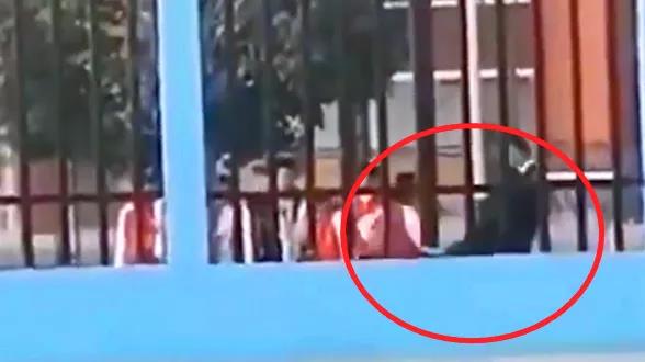 支教老師連踹小學(xué)生，你可知道何為為人師表？