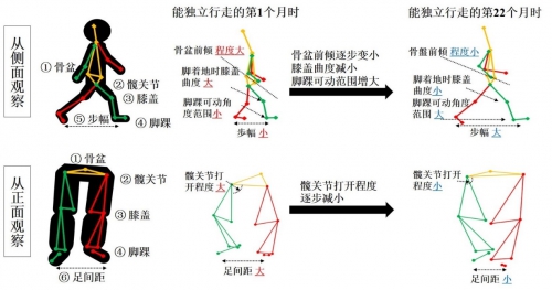 花王運用動作捕捉技術揭示幼兒行走能力發(fā)展的內(nèi)在機制