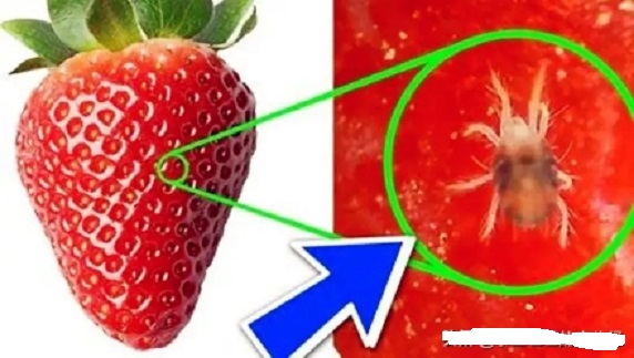 給孩子買水果的家長要注意了，這幾種水果不能買！