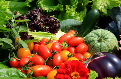 寶寶不愛吃蔬菜？四招幫你搞定