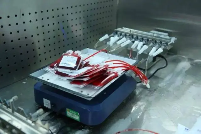 孕媽媽專屬！存臍帶血的用途知多少！