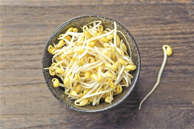 豆芽菜一點兒也不菜