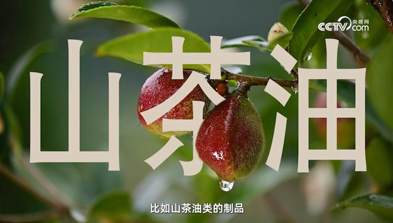 CCTV點(diǎn)贊，松達(dá)山茶油嬰童面霜連續(xù)5年全國銷量第一!